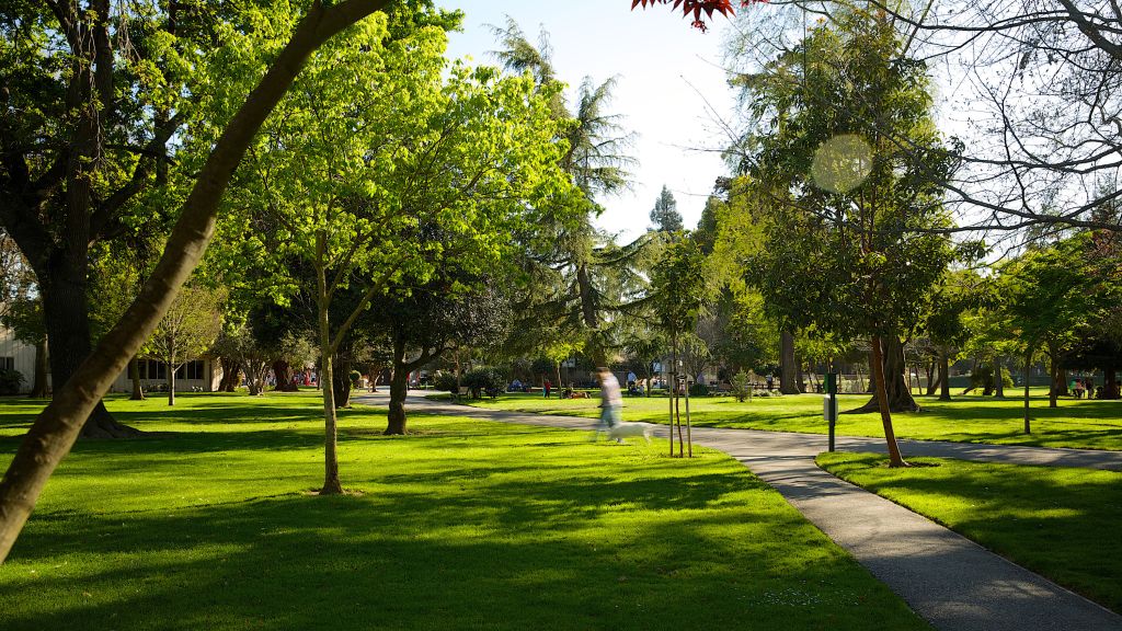 Living in Burlingame Burlingame Real Estate and Neighborhoods